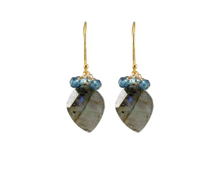 Jewelry Alicia Van Fleteren | Labradorite Dagger Earrings