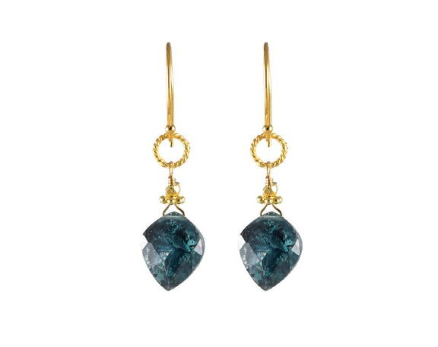 Jewelry Alicia Van Fleteren | Kite Indigo Gold Rope Link Earrings